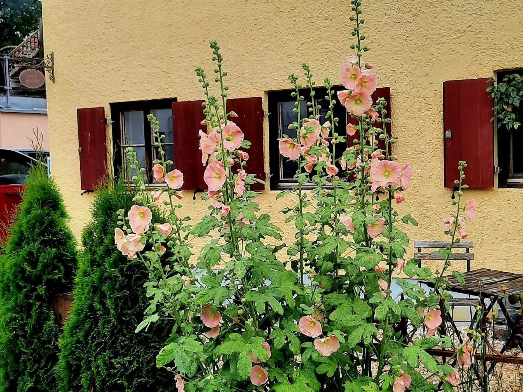 Nette'S Ferienhaus Vila Landsberg am Lech Exterior foto